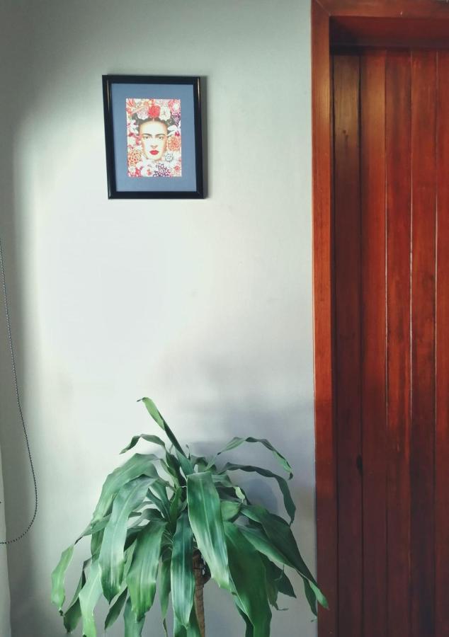 Casa Violeta Hostel Tepic Luaran gambar