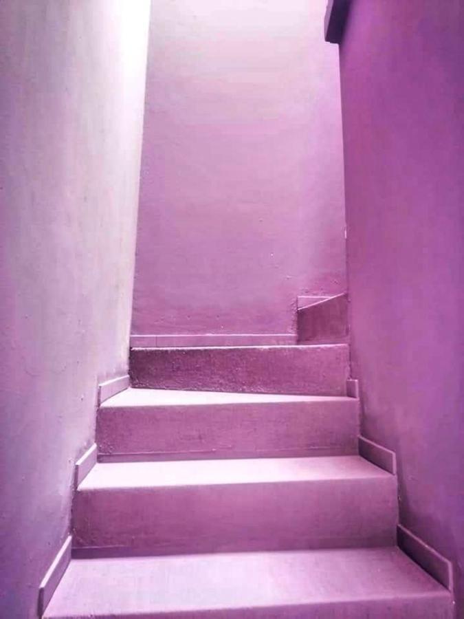 Casa Violeta Hostel Tepic Luaran gambar
